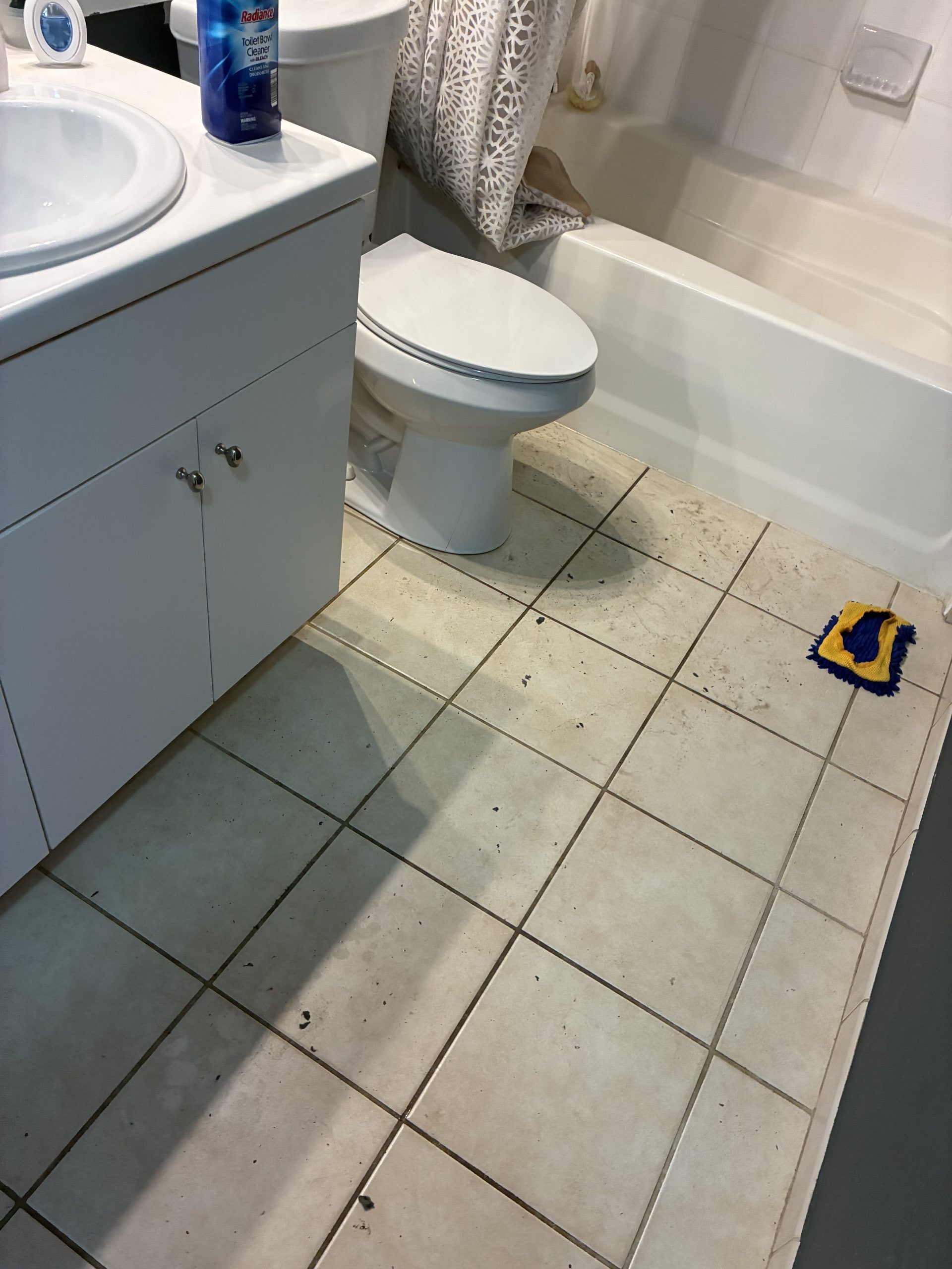 Before image of matters